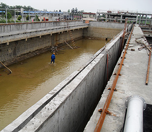 彭州草莓视频黄版下载大全厂