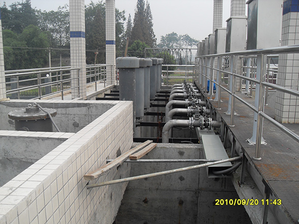 彭州草莓视频黄版下载大全厂4