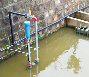 厦门筼筜草莓视频黄版下载大全厂