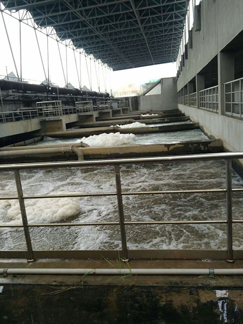 厦门筼筜草莓视频黄版下载大全厂2