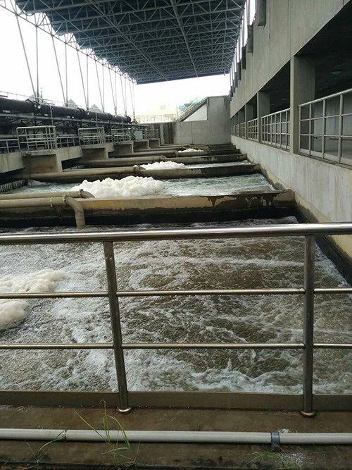 厦门筼筜草莓视频黄版下载大全厂3