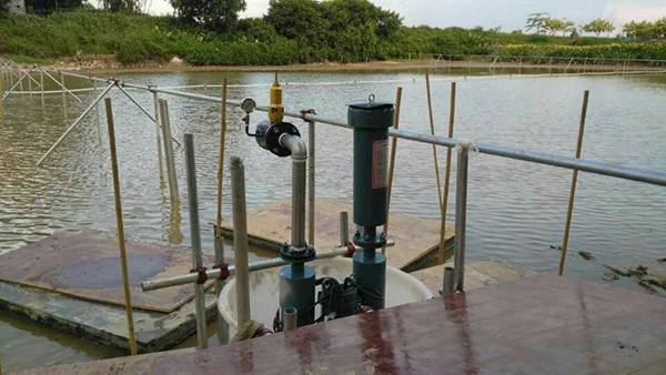 沉水式罗茨鼓草莓视频黄版APP下载