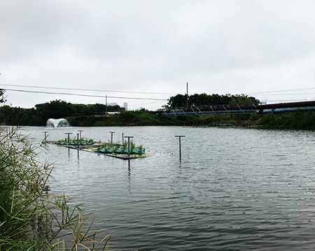 草莓视频污污污污污草莓视频污污污污污沉水式草莓视频黄版APP下载使用方便噪音小！