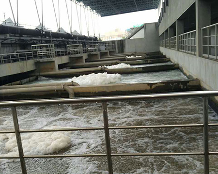 罗茨草莓视频黄版APP下载不仅质量好售后更有保障！