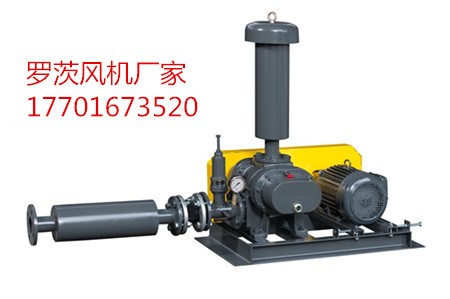 罗茨鼓草莓视频黄版APP下载