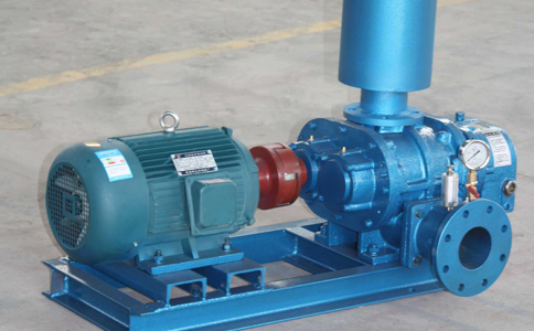 直连式罗茨草莓视频黄版APP下载