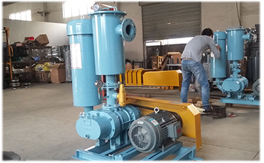 今日分享，三叶罗茨鼓草莓视频黄版APP下载密封结构特点与进水后的维修方法