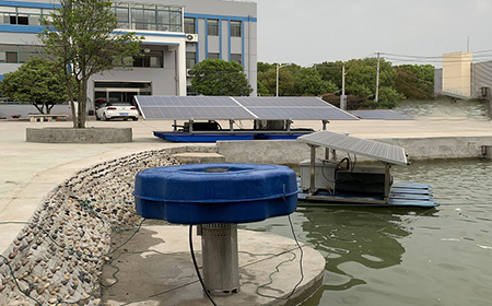 草莓视频污污污污污